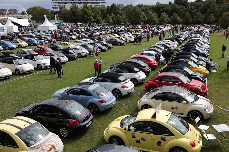 Beetle Sunshine Tour 2014