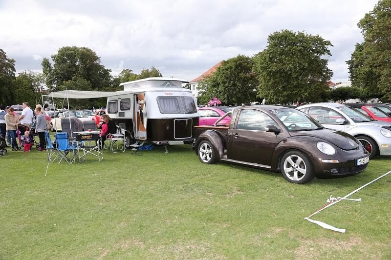 Beetle Sunshine Tour 2014