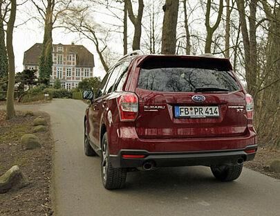 Noch mehr Spaß macht es aber, in den Wald zu fahren.