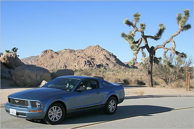 Ein Sportcoupé mit kraftvoller Optik: Ford Mustang