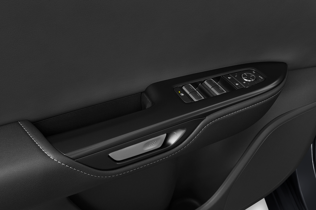 Lexus RZ (Baujahr 2023) 450e Executive 5 Türen Bedienungselemente Tür