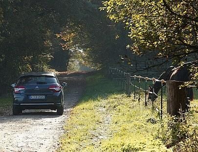 Das 115 PS Dieseltriebwerk hat einen guten Job gemacht. Wenn man will, ist man 4,5 bis 5 Litern auf 100 Kilometern sparsam unterwegs.