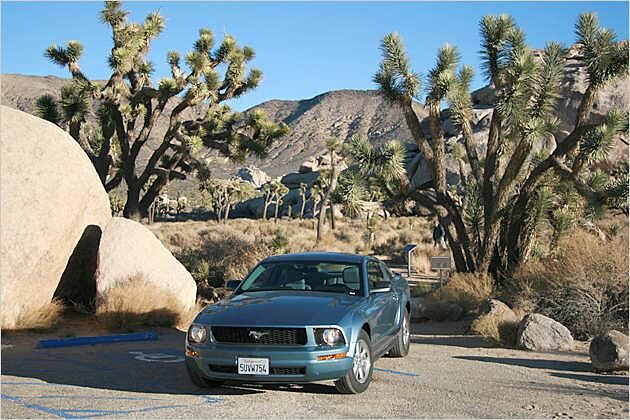 Zwei amerikanische Ur-Gewächse: Der Joshua-Baum und der Ford Mustang