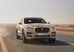 Erprobung Jaguar F-Pace - Jaguar fürs Grobe