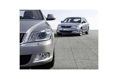 Skoda als einziger Importeur in den Top 20
