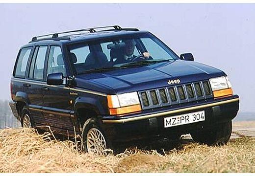CHRYSLER-Grand-Cherokee-4-0--1995-1996-