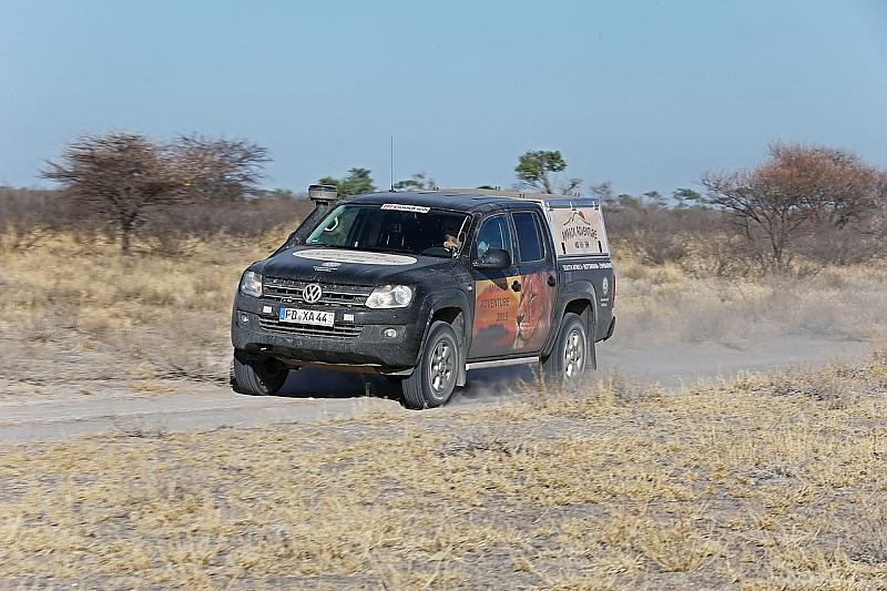 Die Kalahari Wüste ist 400 Kilometer lang und 250 Kilometer breit