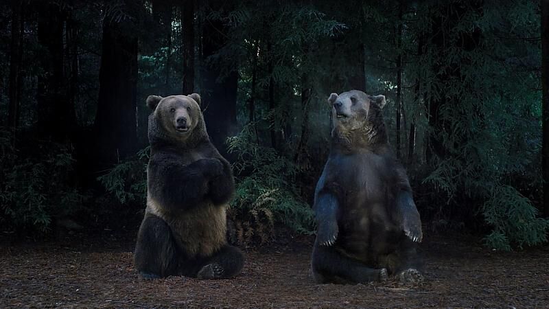 Hyundai zeigt insgesamt vier Filme. Einer davon trägt den Titel \"The Chase\" (dt. die Jagd).
