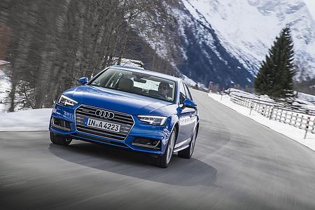 Audis effizienter Quattro-Antrieb - Neues Pferd