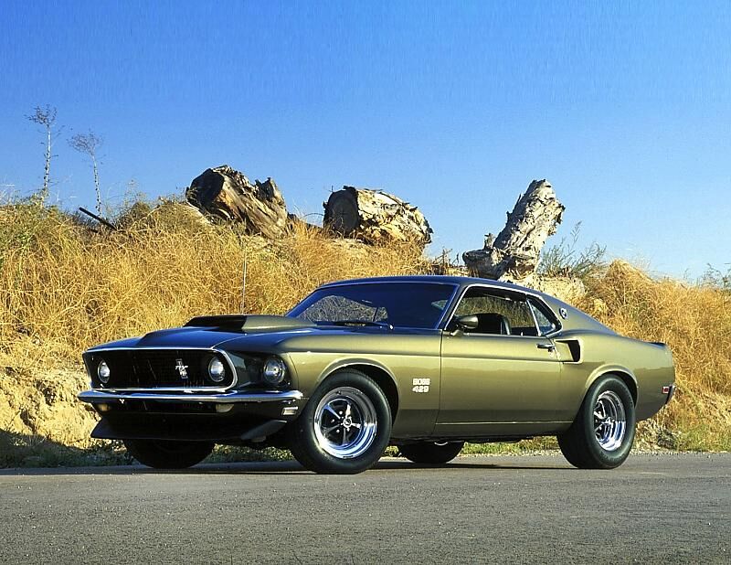Der Ford Mustang Boss 429 hatte einen Motor mit 429 Kubikzoll (7.030 Liter) Hubraum
