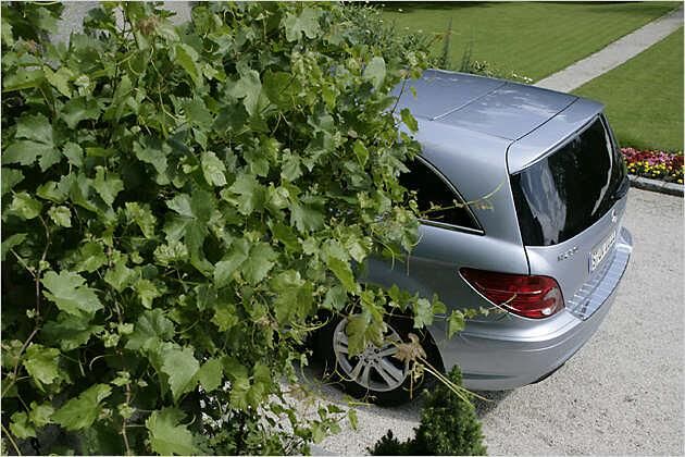 Macht sich auch auf der Kiesauffahrt gut: Die neue R-Klasse