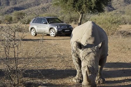 Mit dem BMW X5 durch Namibia