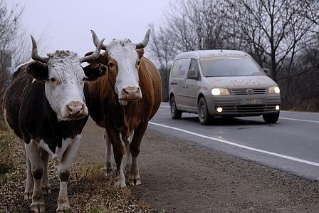 EcoFuel Eurasia: Wladiwostok