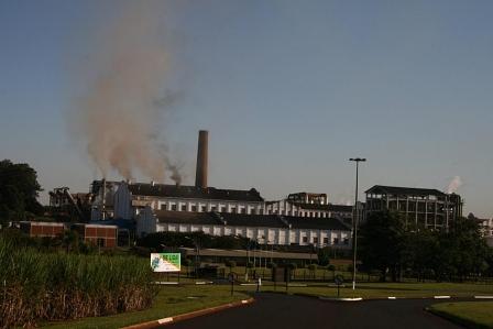 Zuckerrohr in Brasilien