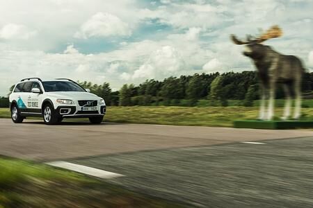 Volvo Sicherheitstechnik - Ich bremse auch für Elche