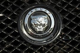 Jaguar-SUV - Großkatze könnte 2016 kommen