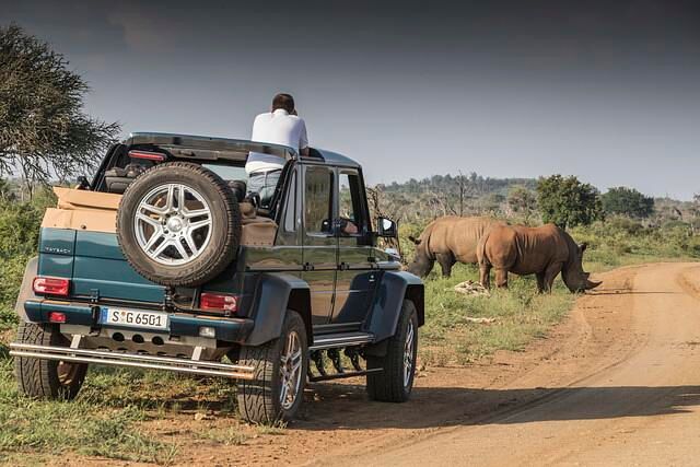 Der Landaulet ist ein perfektes Safari-Shuttle