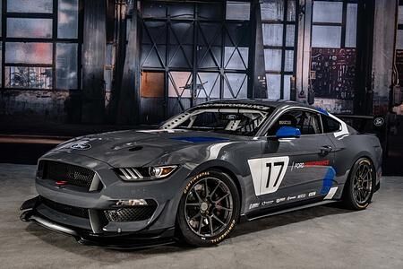 Ford Mustang GT4 - Rennpferd