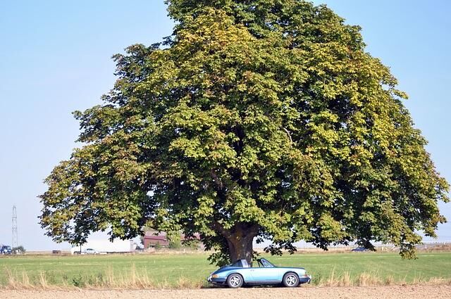 Dieser 911 ist schon im Stand eine Hommage an das Ursprüngliche, die Klarheit der Mechanik und die Kunst des Weglassens