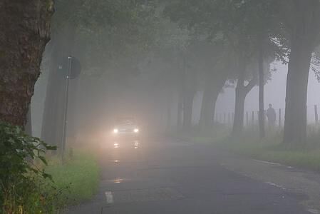 Ratgeber: Autofahren bei Nebel -  Nicht blind auf die Technik verlassen