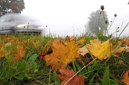 Ratgeber: Sicher fahren im Herbst - Laub, Regen und lange Dunkelheit