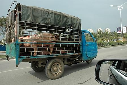 Autofahren in China: Südchina