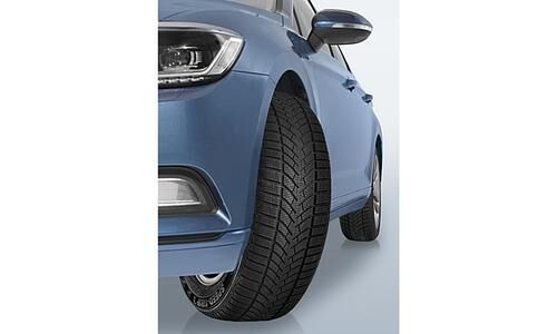 Semperit Speed Grip 3 - Winterreifen mit Haken und Gebirgspanorama