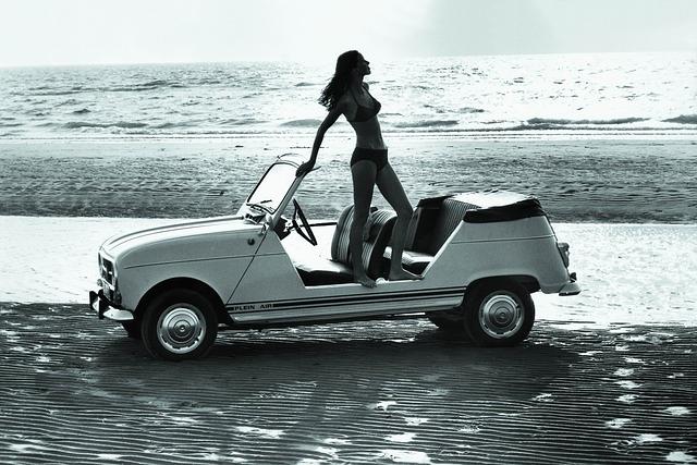 Renault 4 Plein Air ab 1969