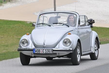 5x Autospitznamen - Gib mir Tiernamen!