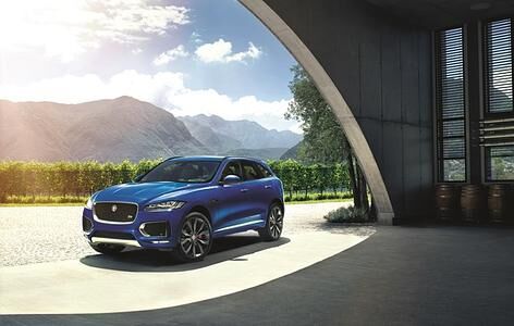 Jaguar F-Pace  - Dynamisch über Stock und Stein (Vorabbericht)