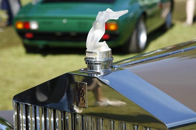 Hier parkt der Geld- und Hochadel den eigenen Rolls-Royce auf einer nassen Wiese