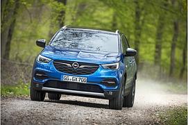 Opel Grandland X 1.6 Diesel - Deutscher Bruder