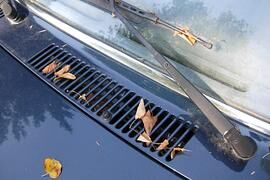 5x – Tipps für das Autofahren im Herbst - Sicher durch die dunkle Jahreszeit