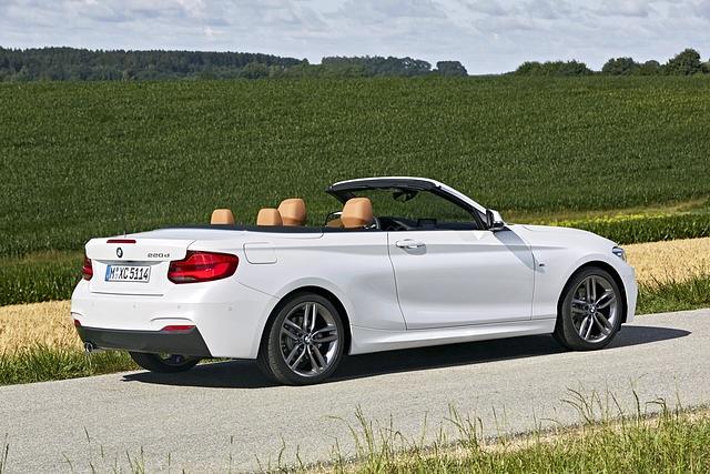 Zwar bietet das BMW 2er Cabriolet vier Sitzplätze, allerdings können im engen Fond höchstens Kinder mitreisen