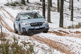 Fahrbericht: Subaru XV - Alles, aber nicht Mainstream 