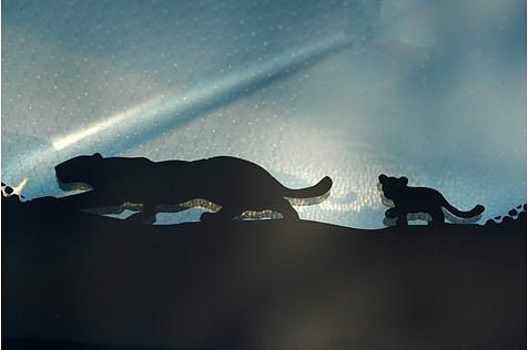 Ein Jaguar-Pärchen (Mutter und Junges) findet sich auf der Frontschutzscheibe