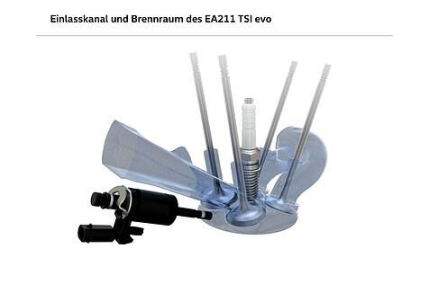 Der Einlasskanal und der Brennraum des VW 1.5 TSI evo