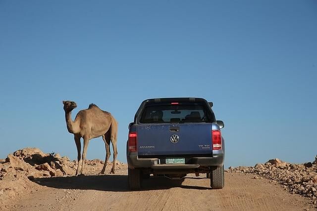 Verkehrsmittel unter sich bei der VW Amarok Adventure Tour 2018