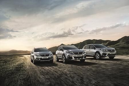 SUV-Kaufberatung - Welcher Crossover passt zu mir?