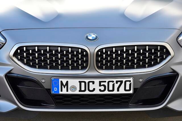 Die große Niere des Z4