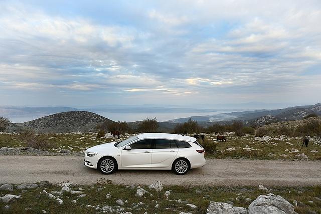 Der Opel Insignia Sports Tourer 1.6 DIT braucht 6,6 l/100 km (WLTP-Zyklus 7,1 l/100 km)