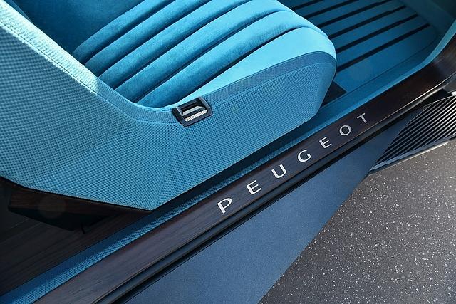 Peugeot e-Legend Concept 2018 - Flockvelours im Innern