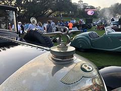 24. Amelia Island Concours d\'Elegance - Klein, fein und sehr schick
