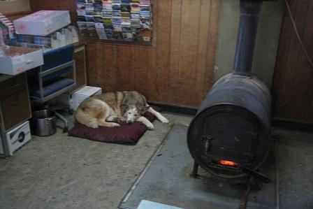 An Wintertagen stört kaum Kundschaft die Ruhe von Hund und Hausherrn in der Braeburn Lodge.