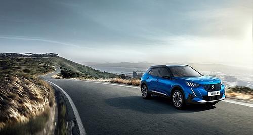 Peugeot 2008 / e-2008 - Massenware