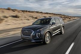 Hyundai Palisade 3.8 V6 - Große Gefahr