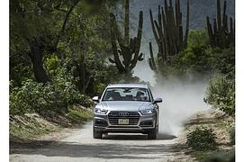 Audi Q5 3.0 TDI Quattro - Parallelwelt
