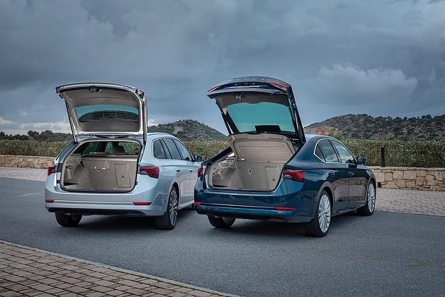 Skoda Octavia Limousine 2020