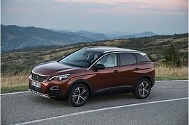 Peugeot 3008 Blue HDI 180 - Willkommen im Dschungel