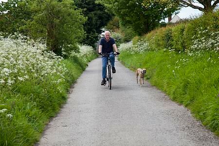 Ratgeber: Fahrradfahren mit Hund  - Gassi gehen mit Tempo 